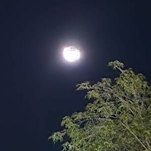 Meet your Posher, Katt